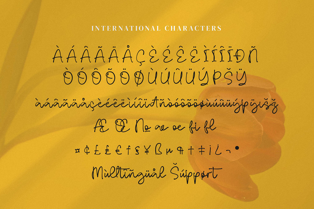 Resmaulli, a Handwritten Font by Integritype Studio (Photo 10 of 15)