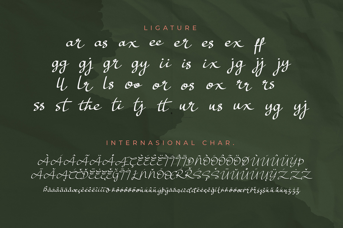 Sellaras // Elegant Script Font, a Script Font by Letterature Std. (Photo 3 of 10)