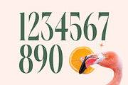 Repslag Brocker Luxury Serif Font, a Serif Font by timelesstype.co (Thumbnail 16 of 20)