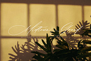 Aline Barton, a Script Font by JamalCreativeStudio (Thumbnail 9 of 12)