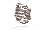 Apollo Belvedere Illustrations, an Illustration by alexrockheart (Thumbnail 4 of 13)
