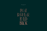 SALE! Maturation Typeface - font duo, a Serif Font by VP Fonts (Thumbnail 11 of 16)
