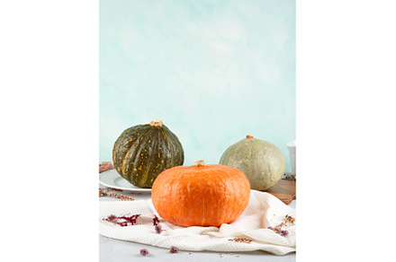 Three vibrant pumpkins stillife on
