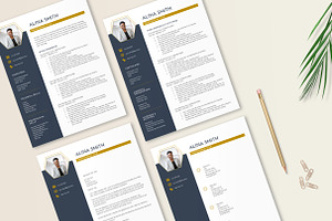 Resume Template Navy Gold