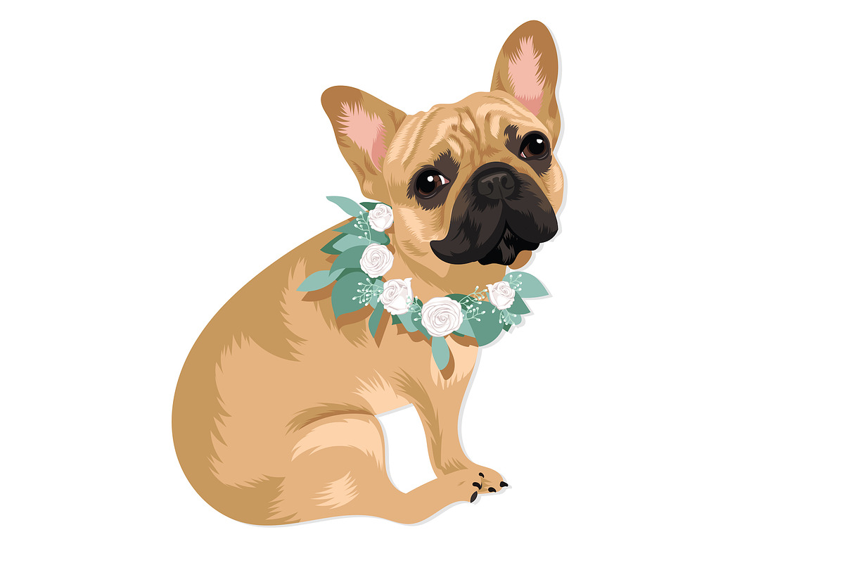 French Bulldog Vector Illustrations, an Animal Illustration by Putnam Road Art (Photo 2 of 5)
