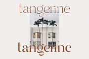 Hello Branch 8 Font Family, a Serif Font by Sans & Sons (Thumbnail 12 of 12)