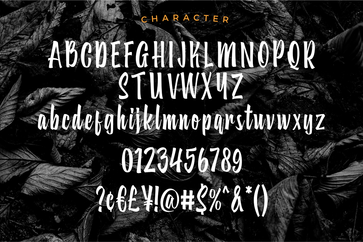Subaraya Script, a Script Font by 24Design Studios (Photo 6 of 8)