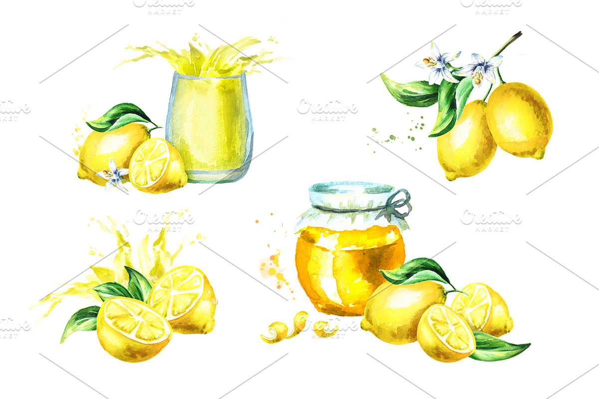 Fresh Lemon. Watercolor collection, a Background Graphic by Daria Ustiugova (Photo 6 of 9)