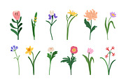 Blossomed flowers, floral plants set, a Decorative Illustration by Good Studio (Thumbnail 4 of 6)