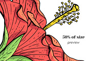 Hibiscus Flower Ink Line Art Drawing, an Object Graphic by Rose Design (Thumbnail 4 of 11)