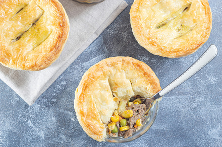 Small beef pot pie or deep dish pie in ramekin, crust broken open, horizontal,, a Food & Drink Photo by iuliia_n
