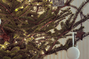 Nordic natural christmas tree containing home, house, and living room