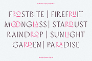 Rosewater (Variable), a Sans Serif Font by Rain Foundry (Thumbnail 10 of 10)