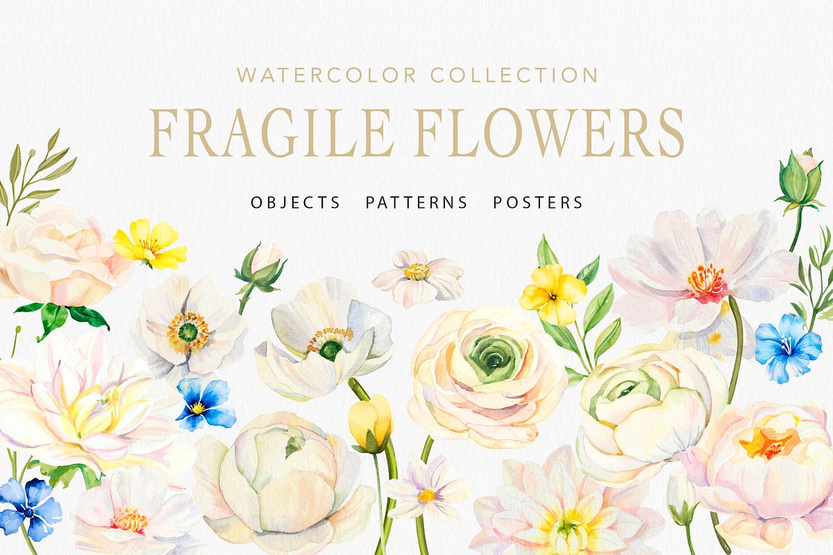 White Flowers watercolor collection, a Decorative Illustration by Volha Studio (Photo 1 of 9)