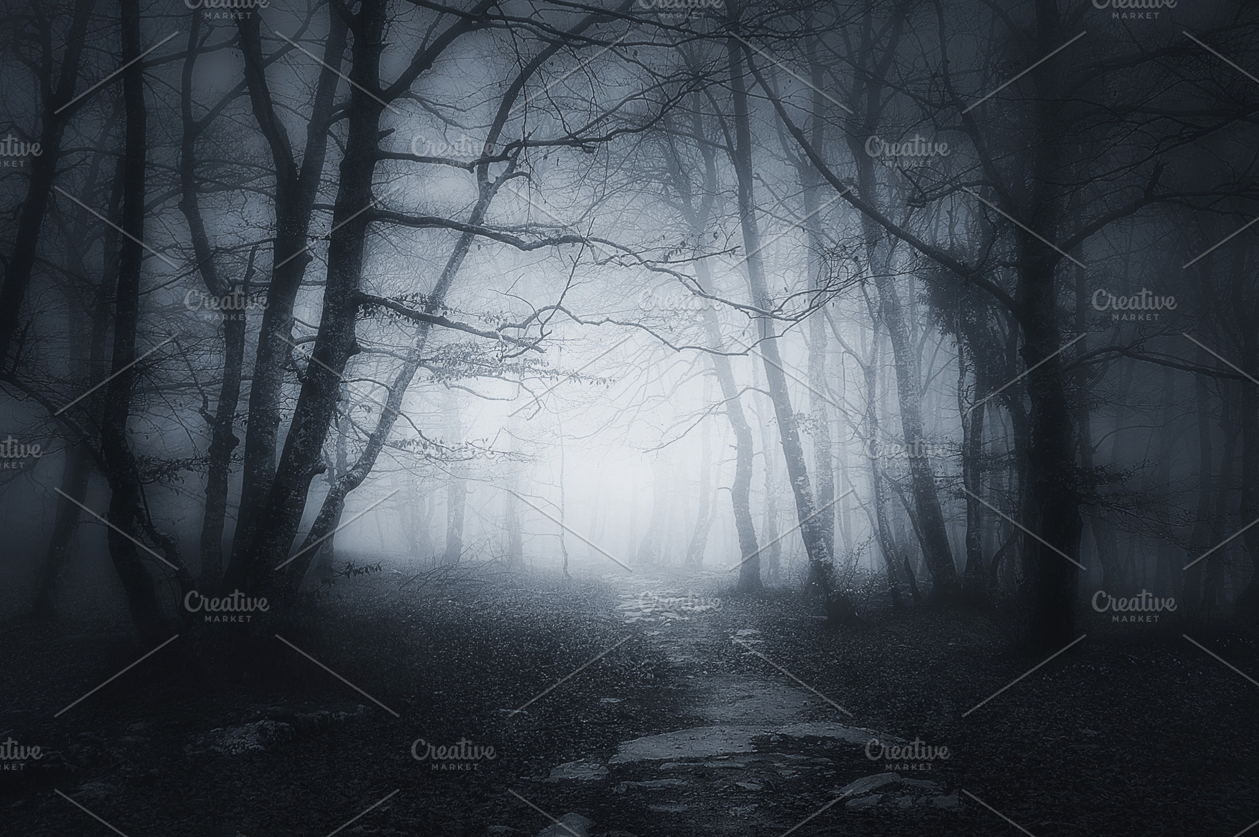 Welcome to the forest stock photo containing scary and dark, a Nature Photo by mimadeo