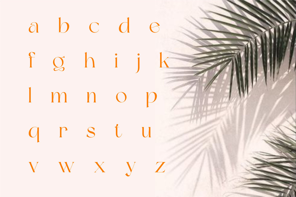 Dream Avenue | Modern Classic, a Serif Font by Muntab_Art (Photo 10 of 11)