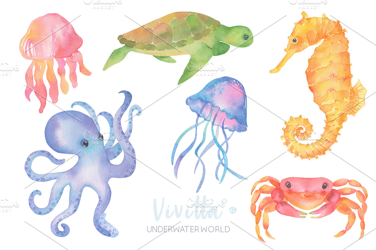 Ocean, sea world, underwater, fishes, an Animal Illustration by Vivitta (Photo 4 of 7)