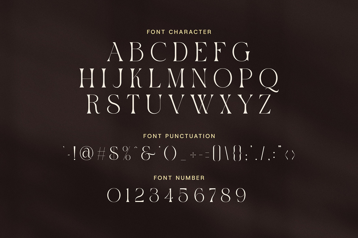 History Elegant Ligature Serif Font, a Serif Font by Elegant Font (Photo 7 of 8)