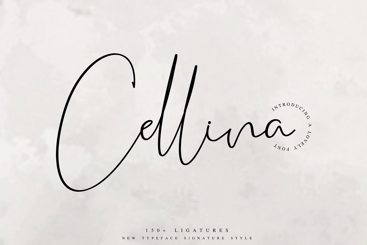 Cellina, a Handwritten Font by Fridaytype (Photo 1 of 13)