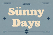 Brackenly - Retro Display Font, a Serif Font by NTC Graphic (Thumbnail 4 of 12)