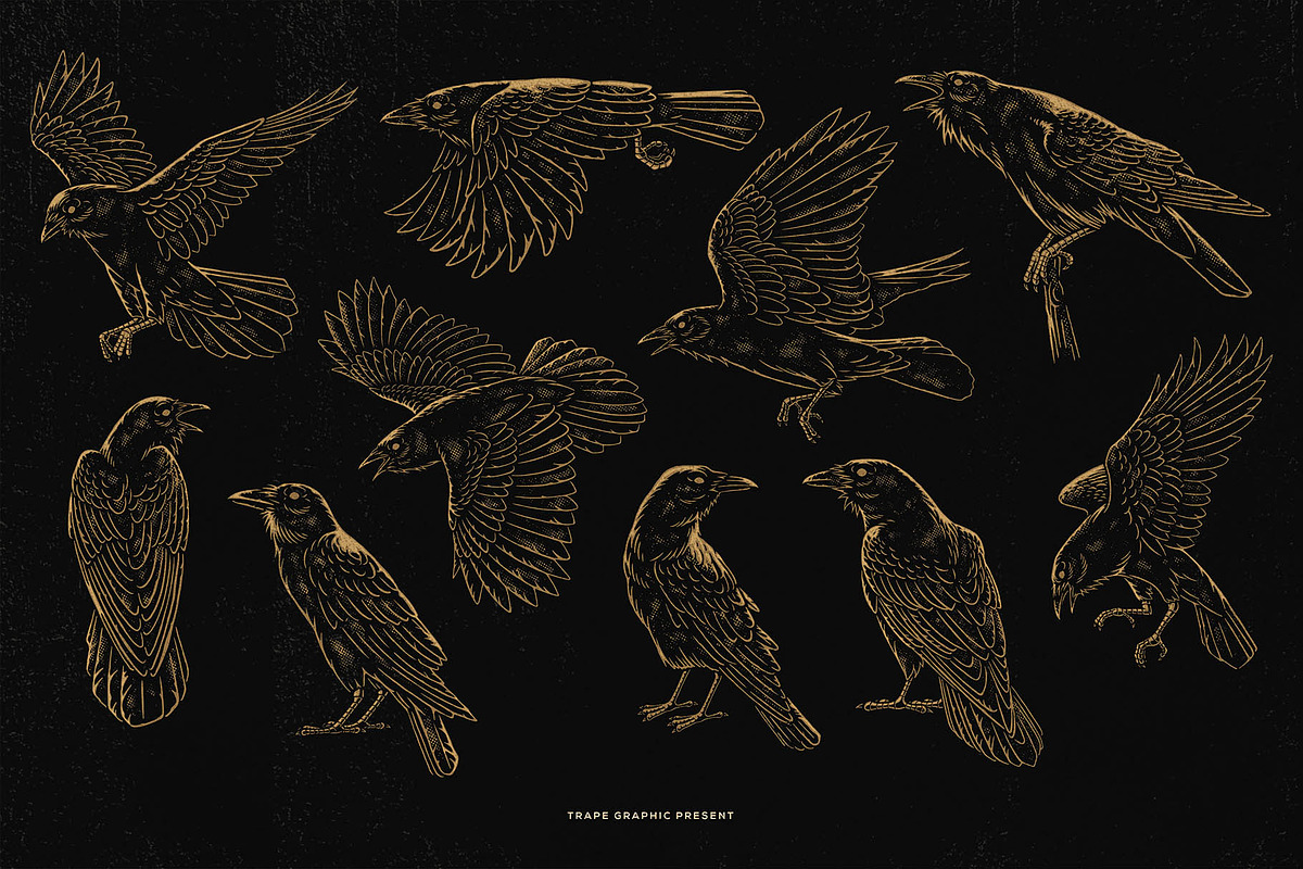 Crow Raven Illustrations pack, an Animal Illustration by Trape Graphic Studio (Photo 2 of 7)