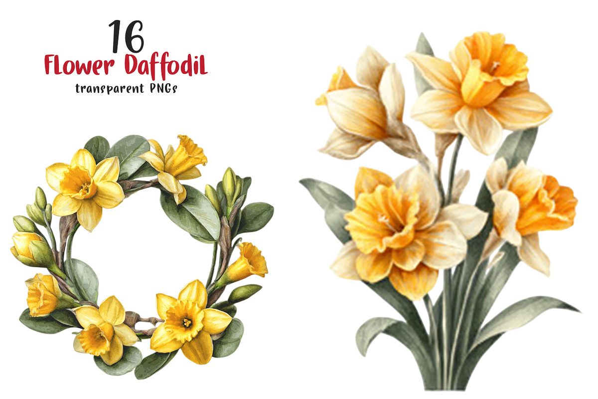 Watercolor Flower Daffodil Clipart, a Transportation Illustration by SinaCreation (Photo 1 of 7)