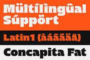 Concapita - Fat Display, a Sans Serif Font by LoneArmy (Thumbnail 13 of 15)