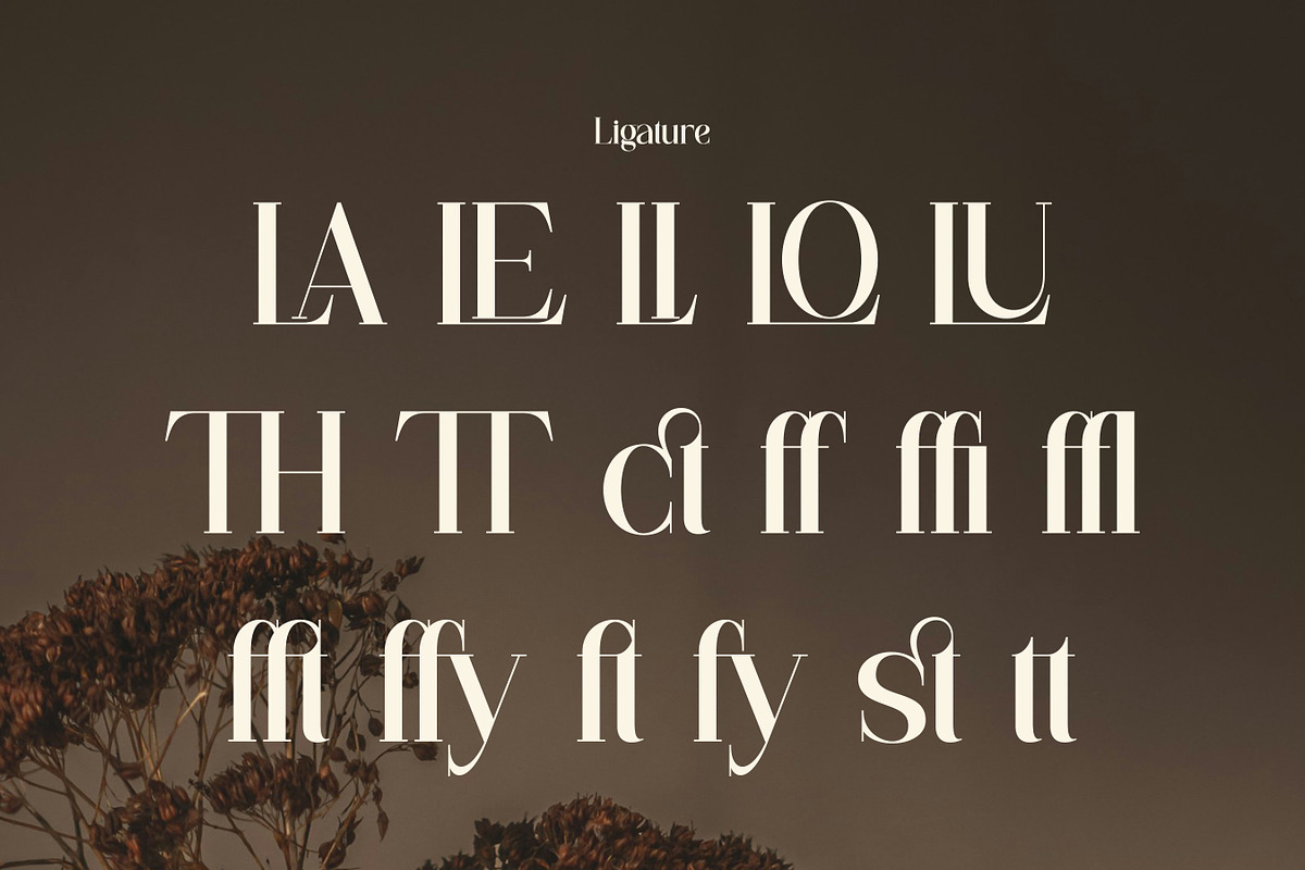 Flarea - Beautiful Serif Font, a Serif Font by Flawless And Co (Photo 10 of 10)