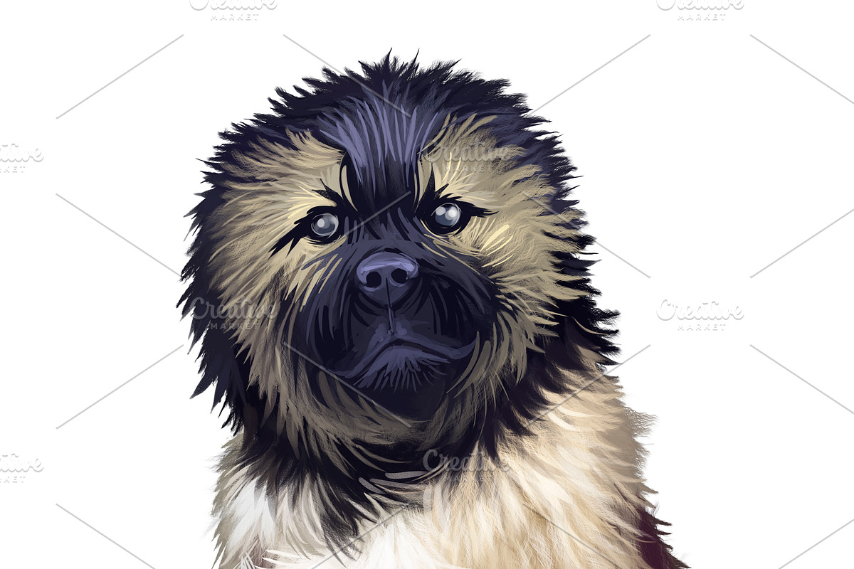Puppies Dog Breeds Big Bundle 135Pcs, an Animal Illustration by Dneprstock (Photo 2 of 68)