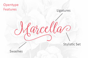 Marcella Script, a Script Font by ianmikraz (Thumbnail 3 of 5)
