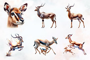 Antelope Watercolor Clipart, an Animal Illustration by RobertsArt (Thumbnail 2 of 4)