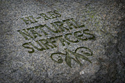 Moss and Stone textures, a Texture Graphic by Cindy Garber Iverson (Thumbnail 2 of 5)