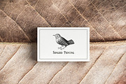 Vintage Engraved Botanical Elements, an Illustration by Jennadesigns (Thumbnail 4 of 12)