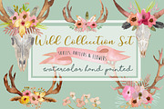 Wild Collection - Skulls and Antlers, a Decorative Illustration by MaraquelaStudio (Thumbnail 1 of 10)