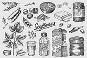 Soya beans. Tofu, nuts, Seeds draw, a Food Illustration by Arthur Balitskiy (Thumbnail 3 of 4)