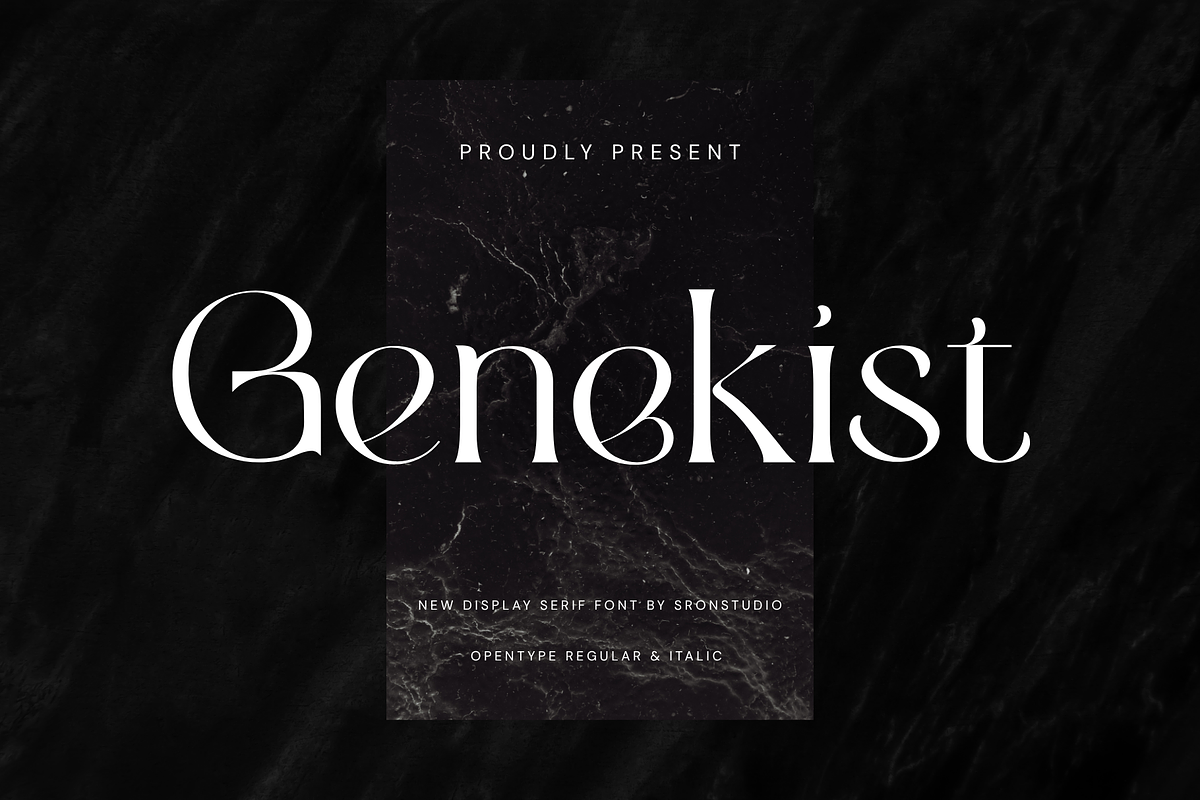 Genekist - Serif Font, a Font by Sronstudio (Photo 1 of 13)