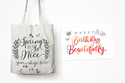 Cabelita Script, a Script Font by Genesis Lab (Thumbnail 6 of 11)