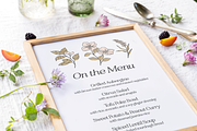 Garden Floral Vector Illustrations, a Decorative Illustration by Emma Webb Studio (Thumbnail 6 of 9)