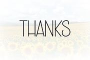 Summer Sunflower | Script Font, a Script Font by Scratchones (Thumbnail 8 of 8)