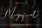Asgard Signature Font, a Script Font by Aldedesign (Thumbnail 7 of 10)
