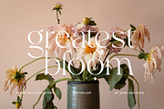 Bulgari - Modern Font, a Serif Font by Sans & Sons (Thumbnail 9 of 10)