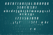 Roadster font family + Extras, a Script Font by Fontop (Thumbnail 18 of 26)
