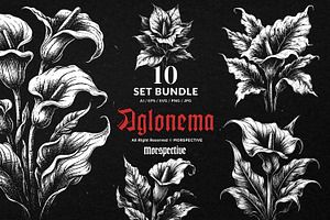 10 Bundle Dark Art Aglonema Botani, an Illustration by Morspective