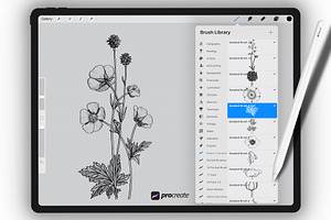 Procreate Floral Brushset Botanice