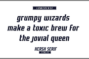 HERSH SERIF FONT FAMILY, a Serif Font by Alphabet Agency (Thumbnail 6 of 14)