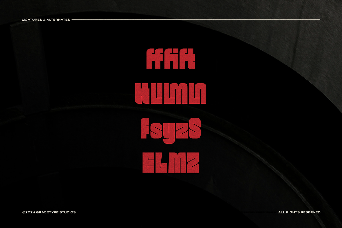 Exodiah | Bold Display Sans Serif, a Sans Serif Font by gracetype_studio (Photo 12 of 12)