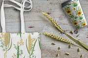 Cereals set, a Decorative Illustration by kateja (Thumbnail 5 of 5)
