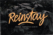 Reinstay - Brush Script Font, a Script Font by StringLabs (Thumbnail 1 of 12)