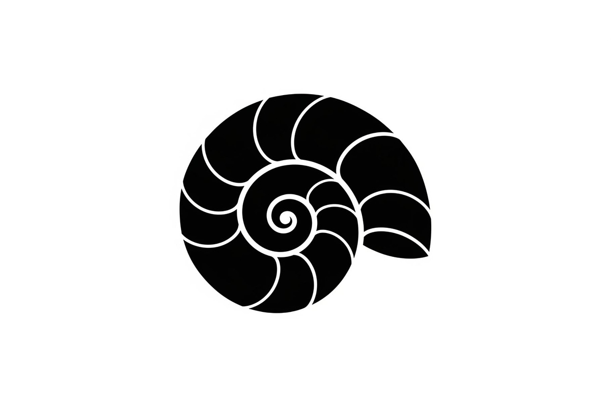 Spiral Seashell SVG Bundle, an Illustration by Gaye Art (Photo 10 of 31)