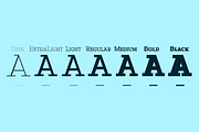 Sadina Slab SC, a Slab Serif Font by NumidiaType (Thumbnail 3 of 6)